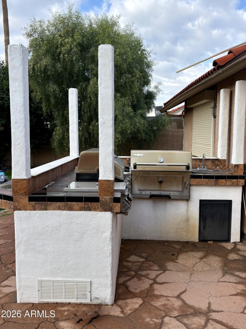 Outdoor Backyard BBQ Area