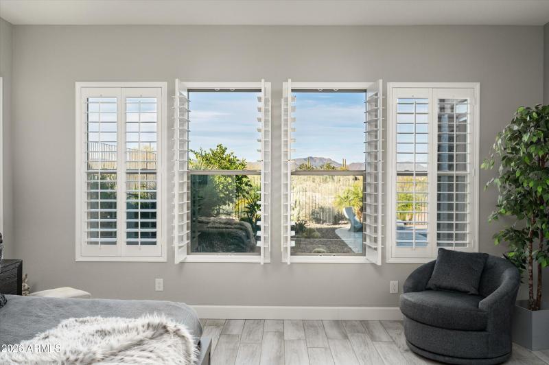 Views from Primary Bedroom