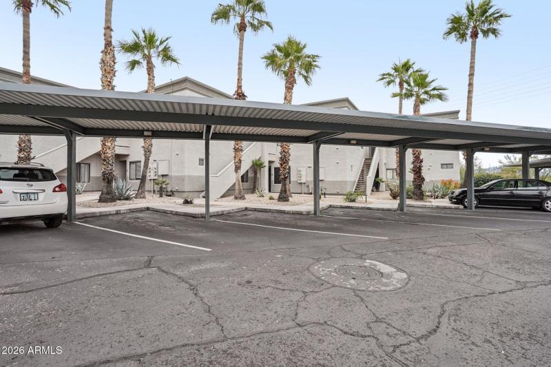 1-web-or-mls-N Saguaro Blvd-S0801-001