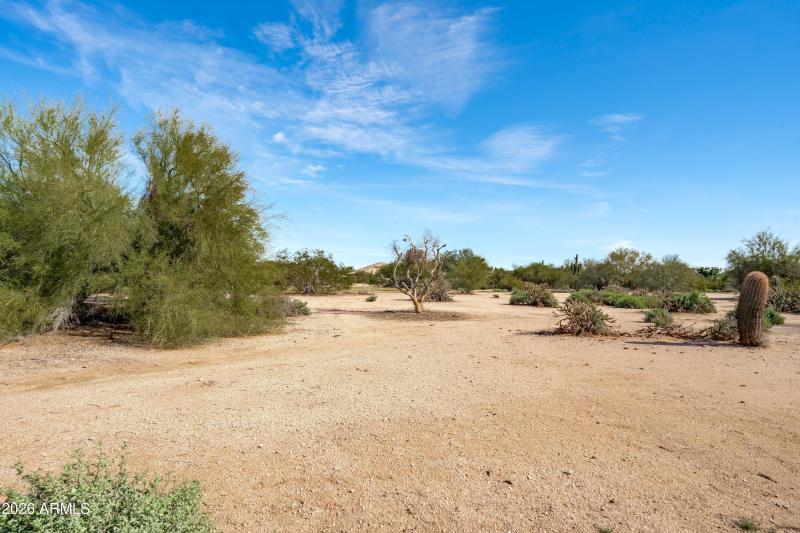 57-No Neighbors Behind