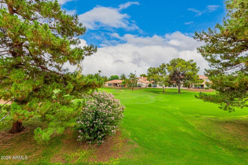 View from great room