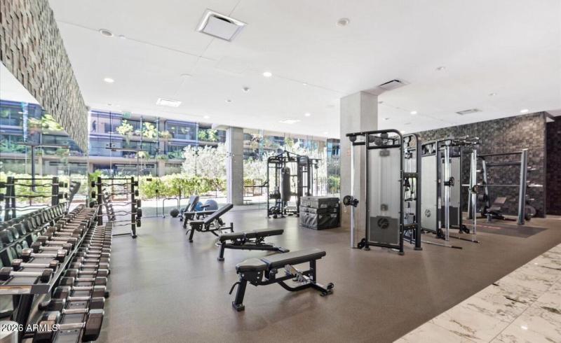 Strength Training & Free Weights