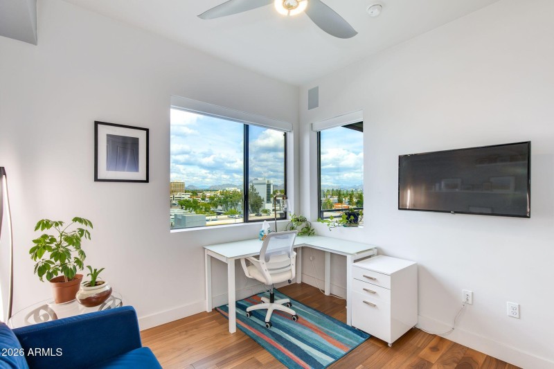 Guest/office mountains