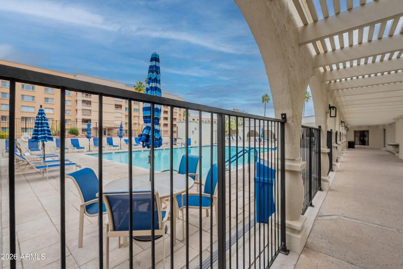 48-print-Camelback-48