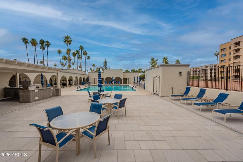 51-print-Camelback-51