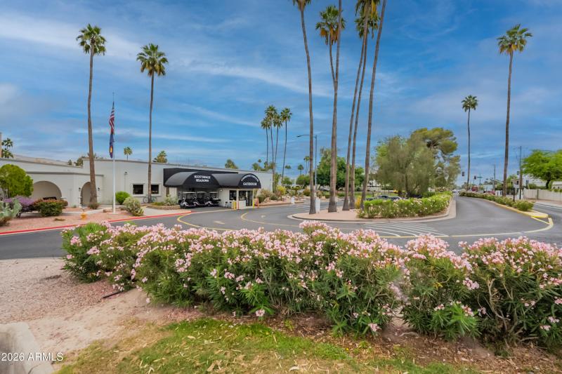 52-print-Camelback-52