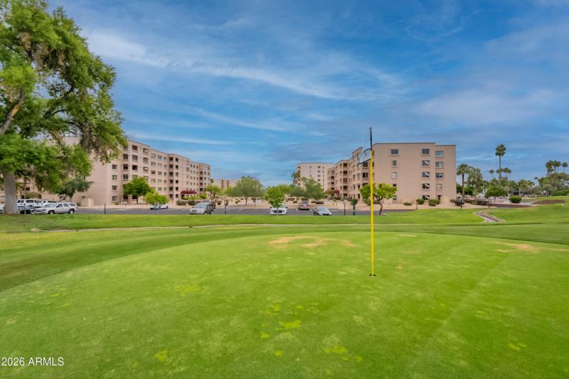 54-print-Camelback-54