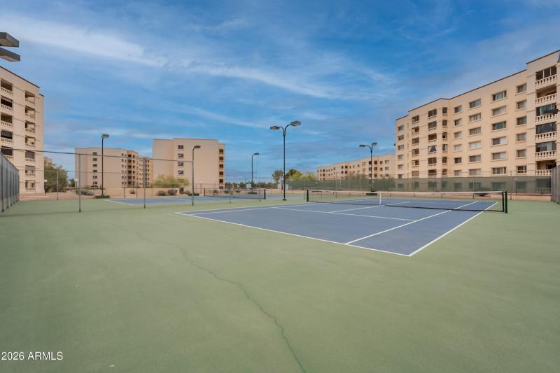 56-print-Camelback-56