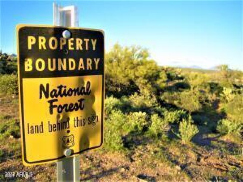 National Forest Boundary sign