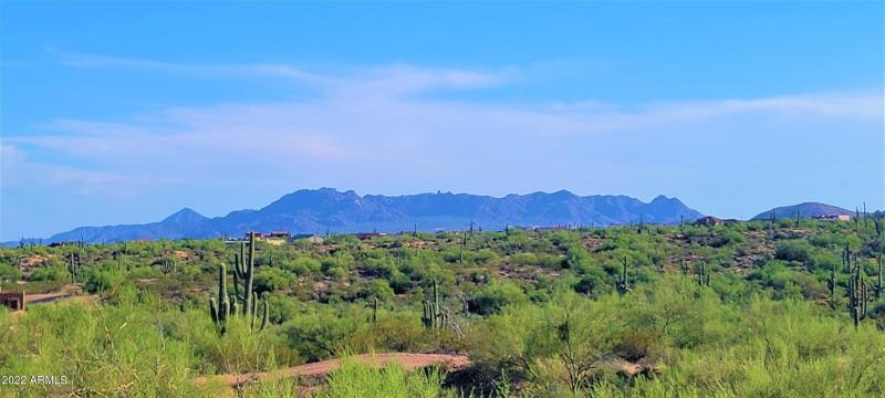 Views of the McDowell Mountains