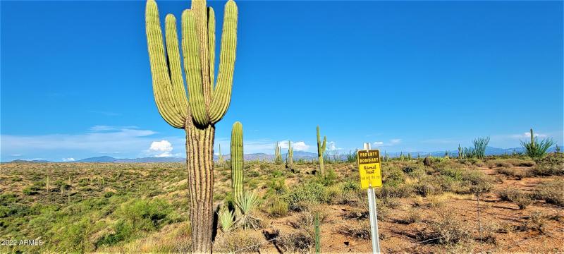 Borders National Forest