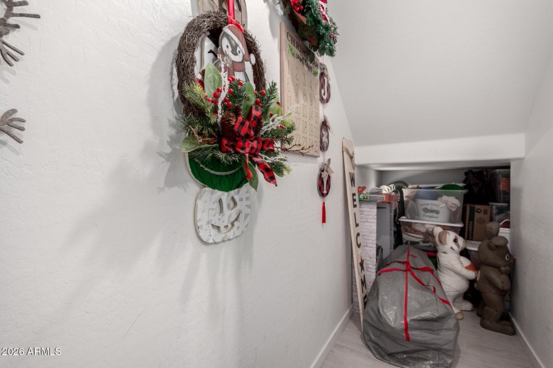 Storage Under the Stairs