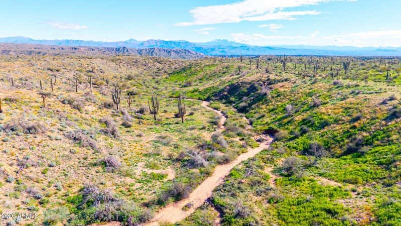 view from Future home site