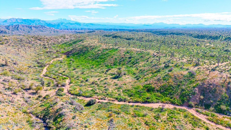 view from Future home site