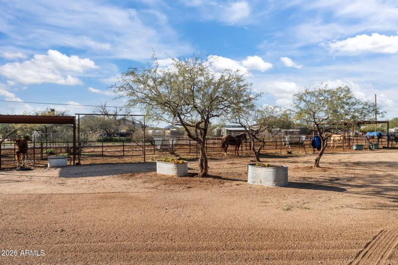 40-web-or-mls-DSC09714