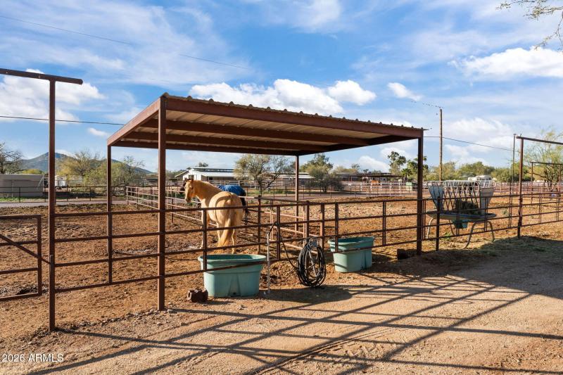 41-web-or-mls-DSC09719