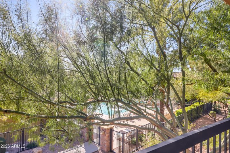 Pool view from patio