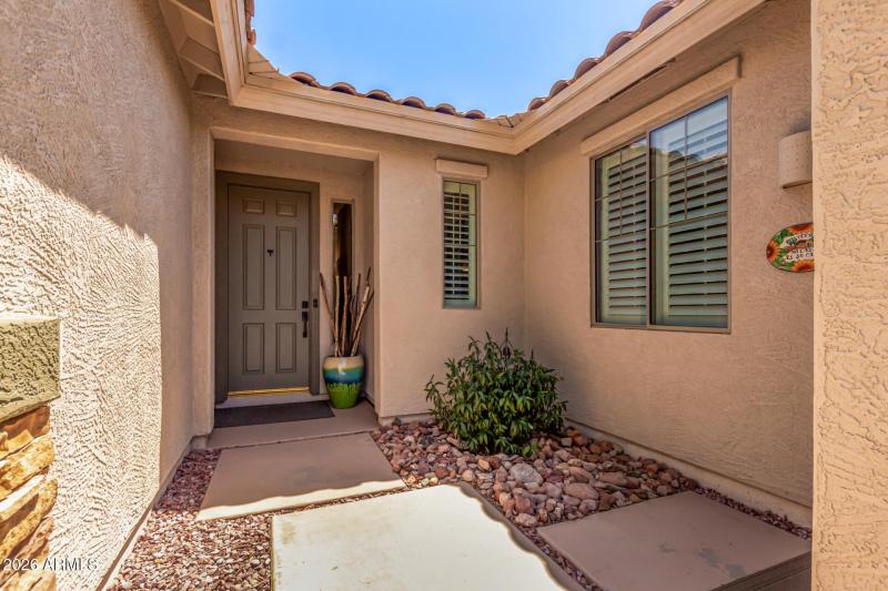 07 - Desert Honeysuckle