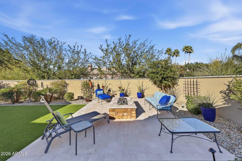 Backyard Desert Oasis