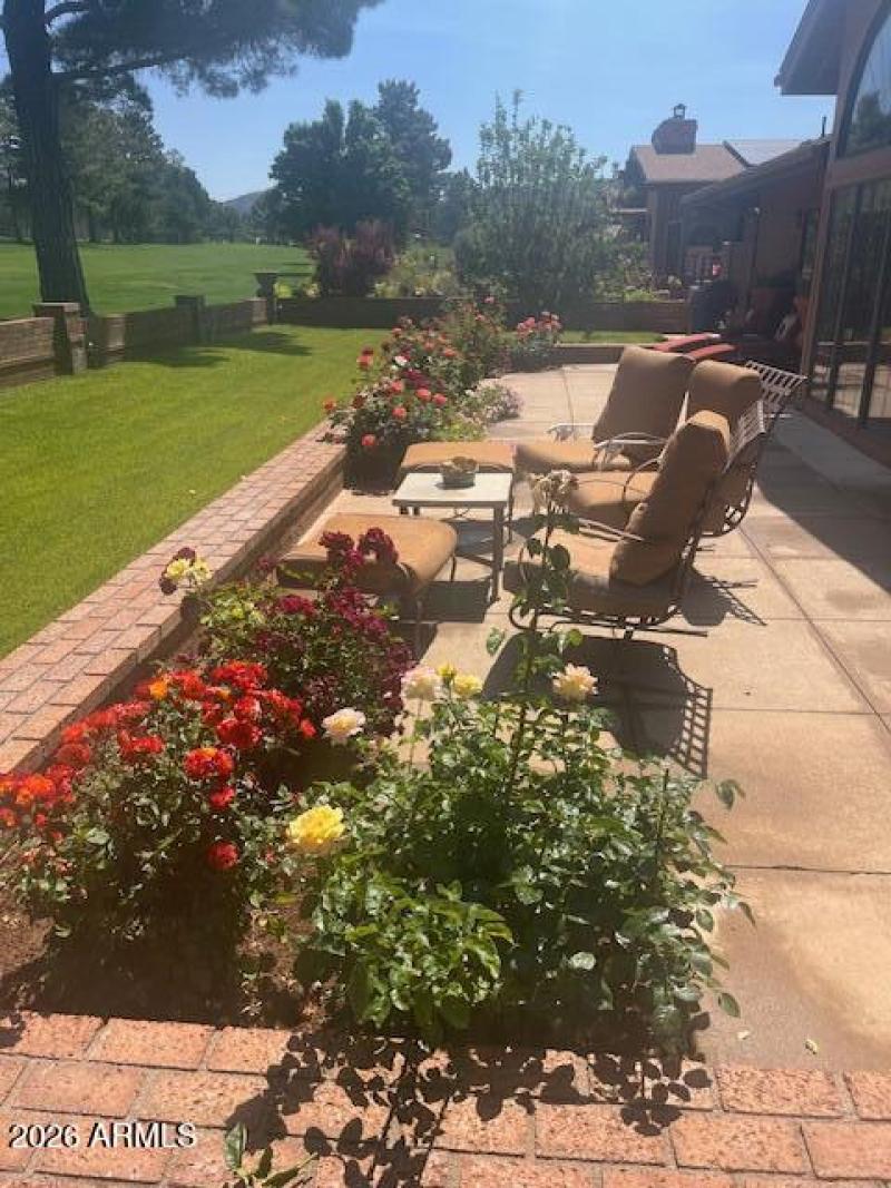 back patio with rose bushes
