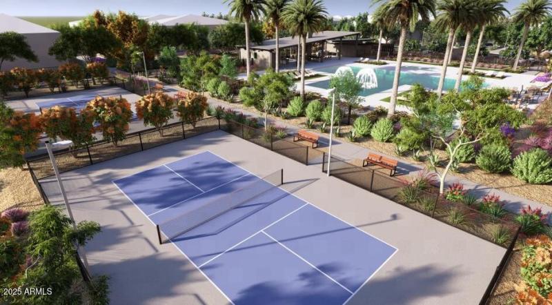 Pickleball Court