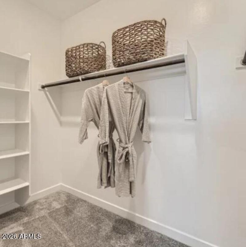 Owners Walk in Closet