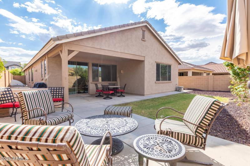 0037-37 Dove Wing 12122