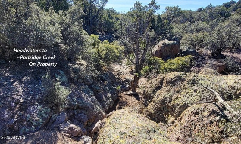 771a58b3-f2db-4790-ac43-59276ec0eaca