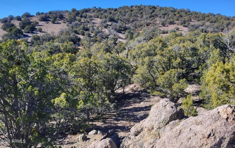 c31f61bc-3d19-46fd-a88f-2038da98d8cb