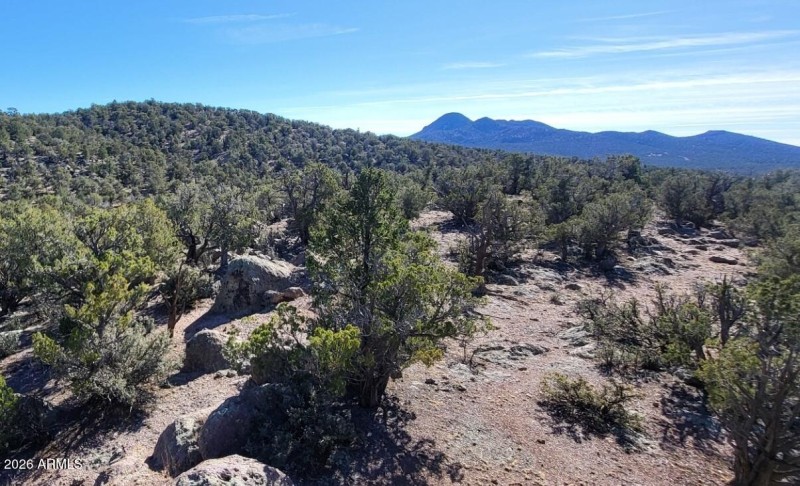 89c12120-1c97-4446-ac35-021f2f5d758e