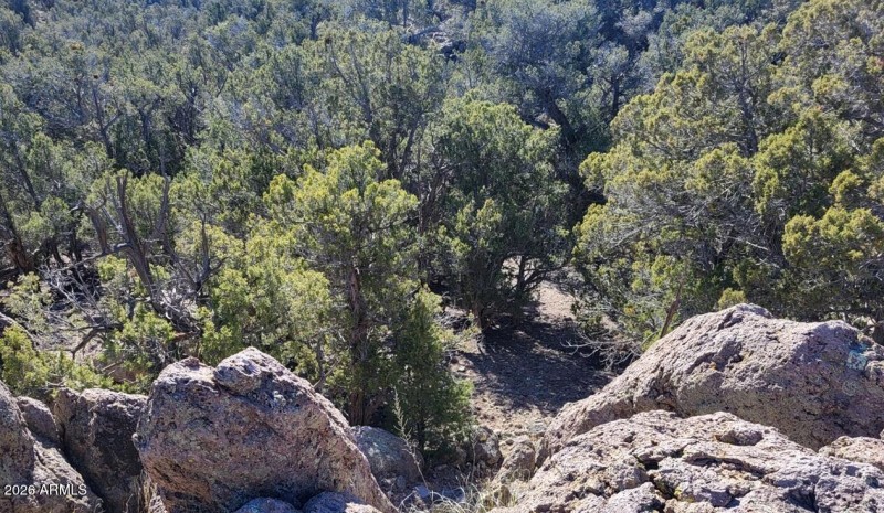 4305508b-4d69-495a-b77a-5a57ec1bcb5b