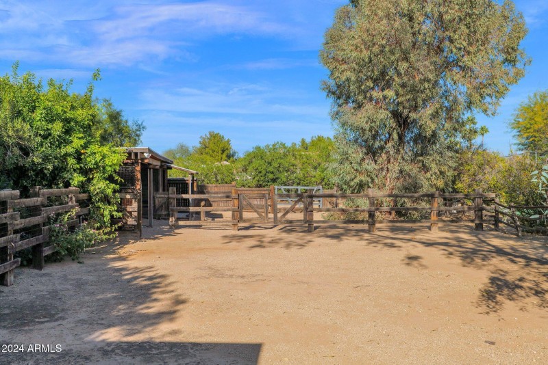 78-web-or-mls-P1052952