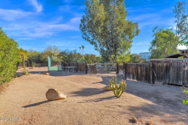 79-web-or-mls-P1052953