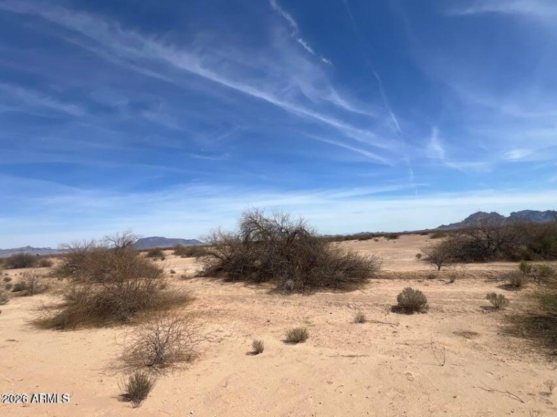 20250317180251683747000000-o