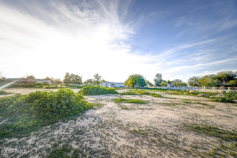 Large fenced pasture