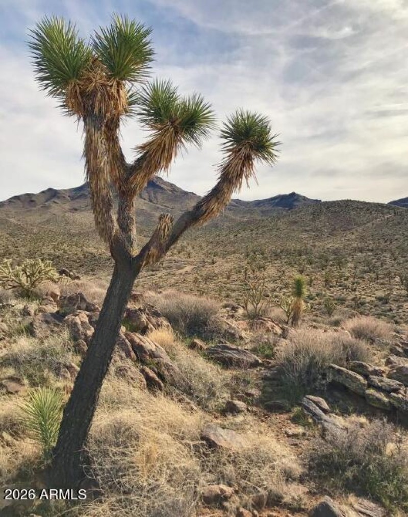 Screenshot 2026-01-17 134657