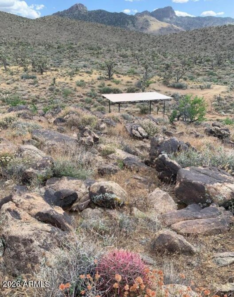 Screenshot 2026-01-17 134644