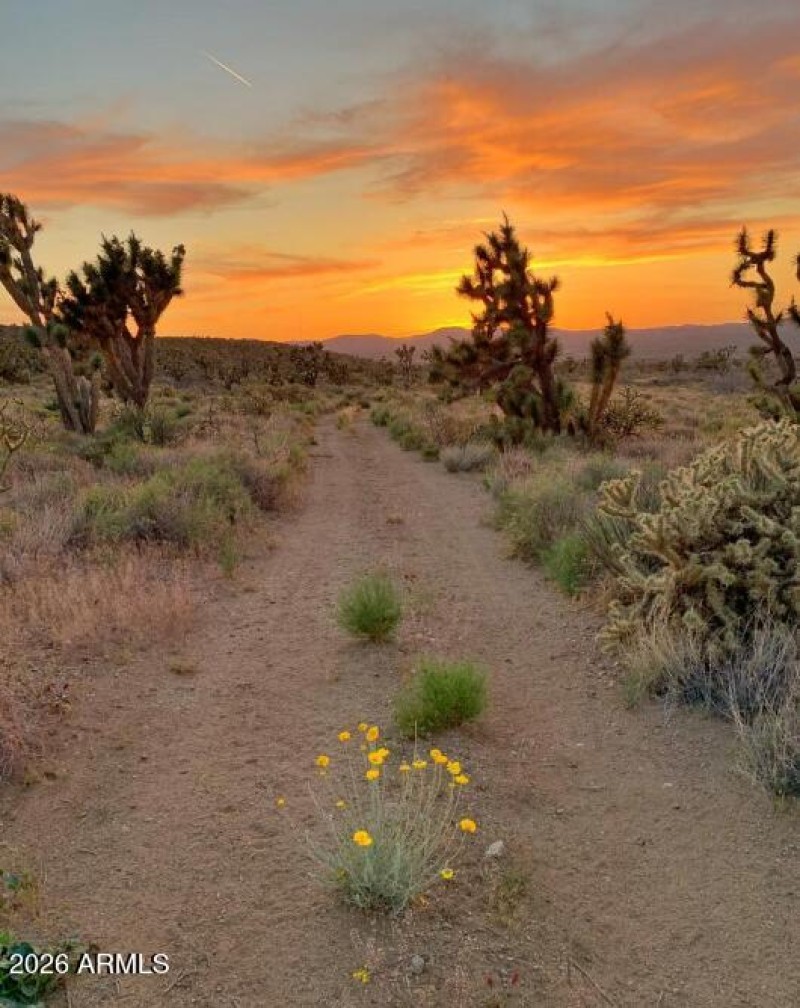 Screenshot 2026-01-17 134613