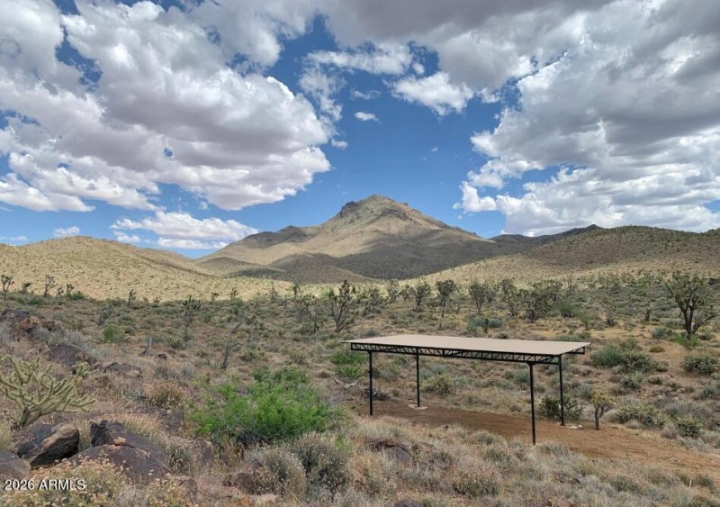 Screenshot 2026-01-17 134558