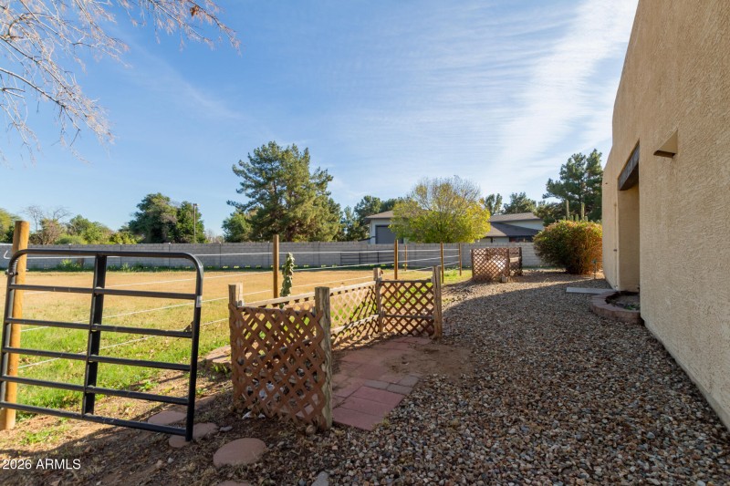 43 - Orangewood 7802