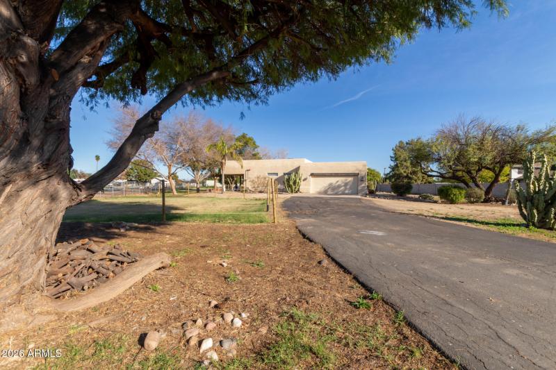 03 - Orangewood 7802