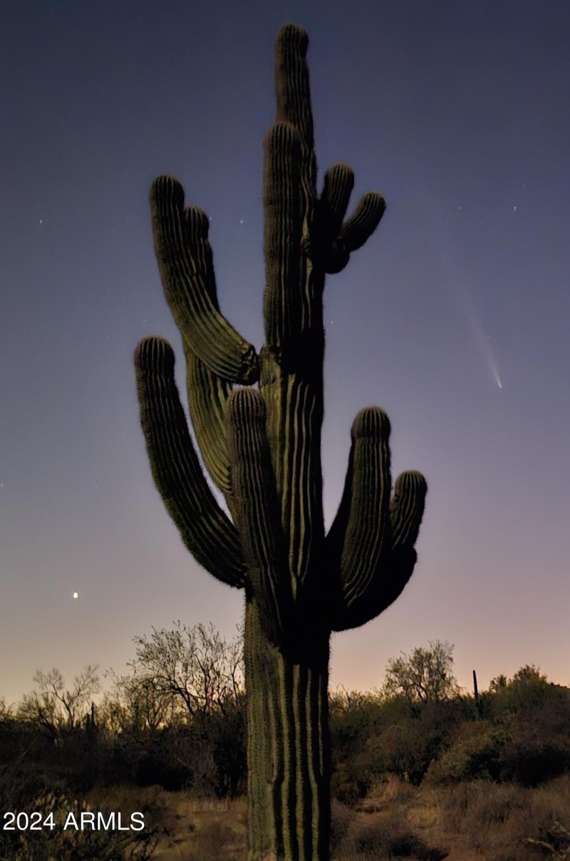 THE ATLAS COMET ON THE RIGHT