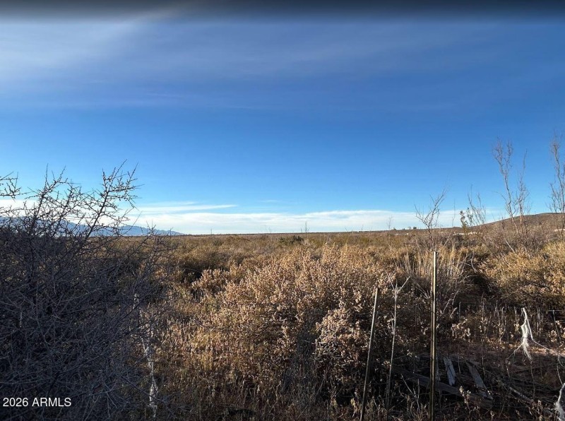 Clear Views and Privacy