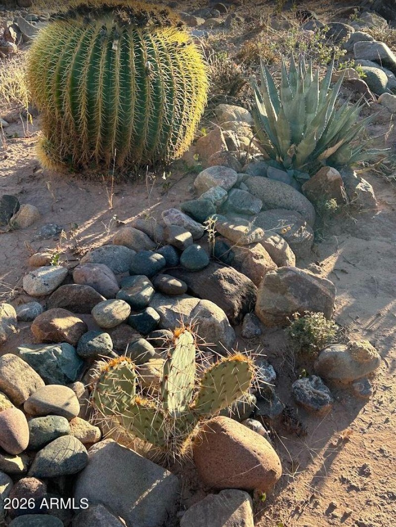 Local Fauna and Flora