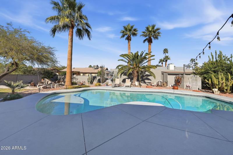 Sparkling Blue Diving Pool