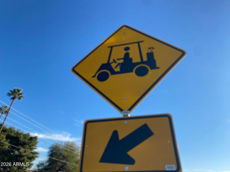 Golf Cart Zone