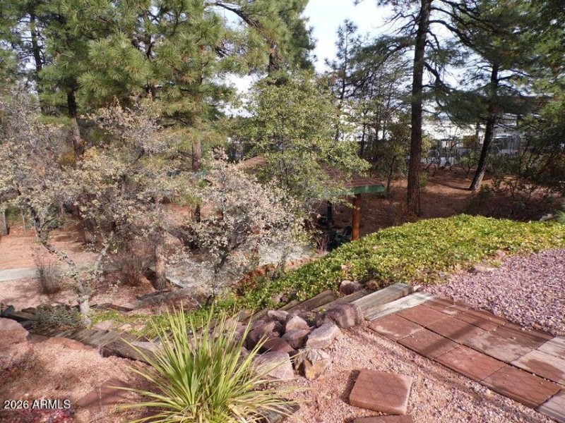 101 forest dr backyard other pic 4