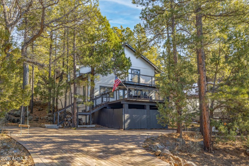 Tall trees for privacy!