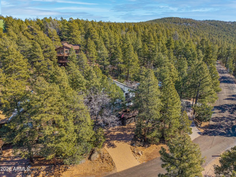 Surrounded by Ponderosa's