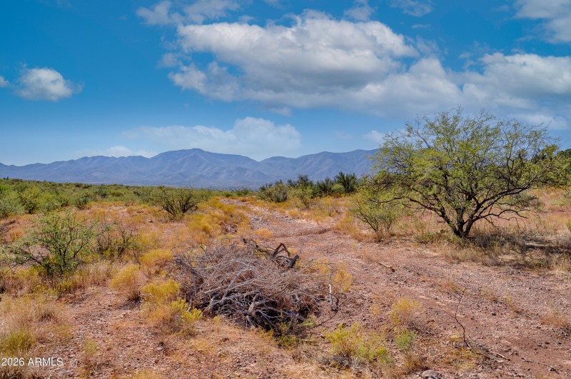 406-19-001-SWG_Media-17